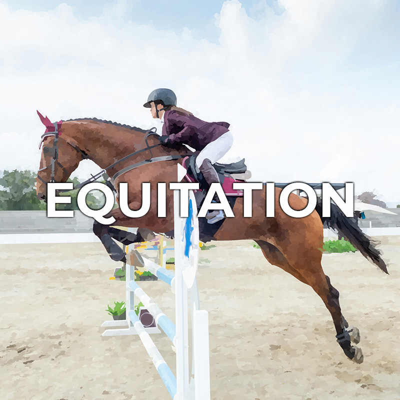 btn equitazione fr