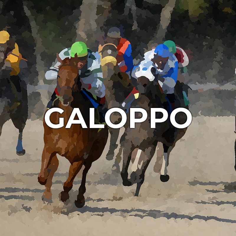 btn galoppo it